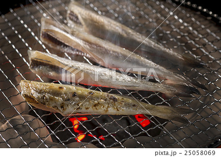 氷下魚 氷下魚 25058069