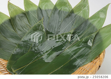 笹 笹 25058206