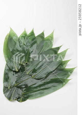 笹 笹 25058212