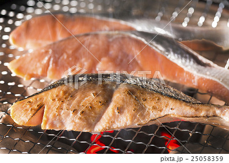 鮭 25058359