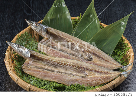 秋刀魚 秋刀魚 25058575