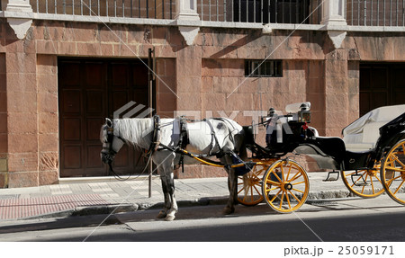 Carriage waiting for passengers in Malaga,Spain 25059171
