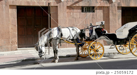 Carriage waiting for passengers in Malaga,Spain Carriage waiting for passengers in Malaga,Spain 25059172