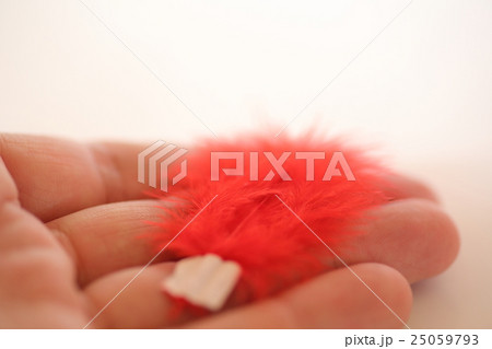 赤い羽根と手の平 赤い羽根と手の平 25059793