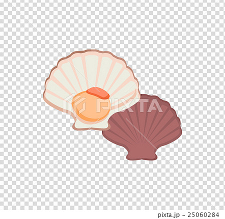 Oysters Vector Illustration Oysters Vector Illustration 25060284