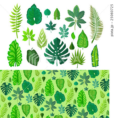 Set of Tropical Leaves. Collection Green Leafs. Set of Tropical Leaves. Collection Green Leafs. 25060725