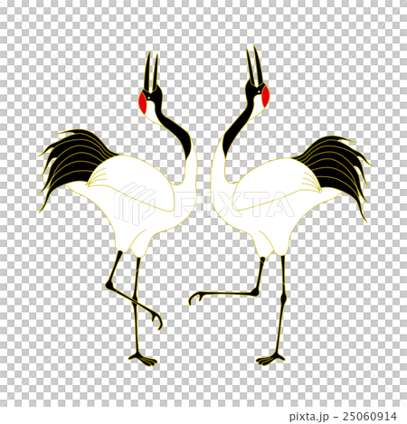 A couple of cranes cranes performing courtship dance 25060914
