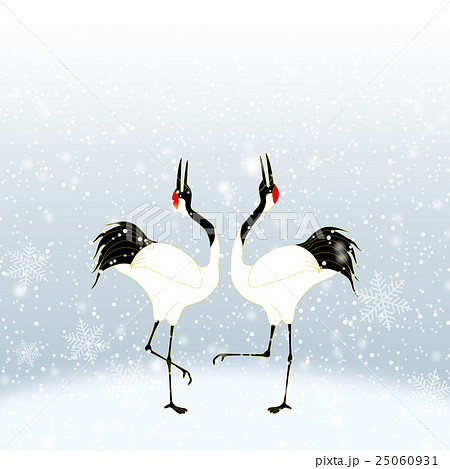 雪の中で求愛ダンスをするタンチョウ鶴のカップルのイラスト素材