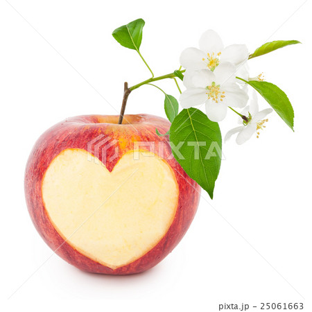 Red apple heart with leaves and flowers Red apple heart with leaves and flowers 25061663