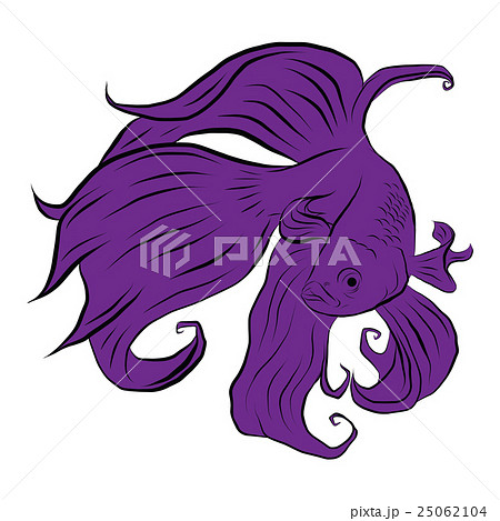 Siamese fish, illustration siamese fish isolated Siamese fish, illustration siamese fish isolated 25062104