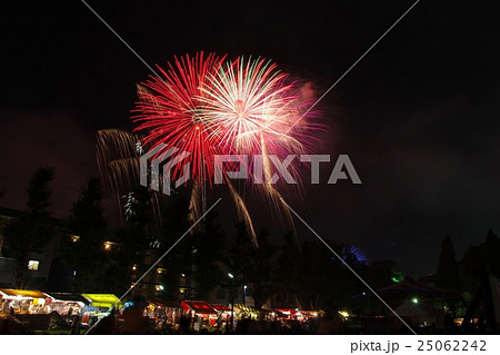 岡崎城下家康公夏まつり　花火大会 25062242