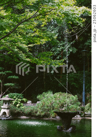 池 溜池 池底 25062603