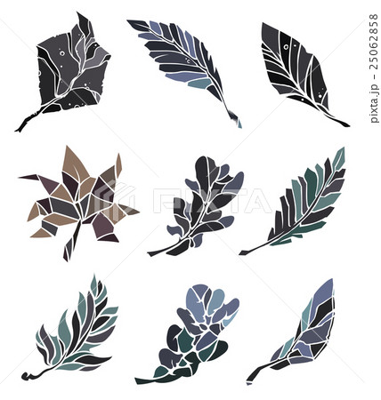 Sketch leaves elements set 25062858