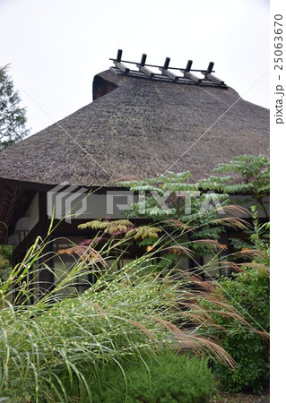 秋の風景　古民家　茅葺屋根と枝垂れ栗とススキ 25063670