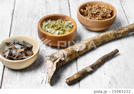 Healing the root of elecampane Healing the root of elecampane 25065222