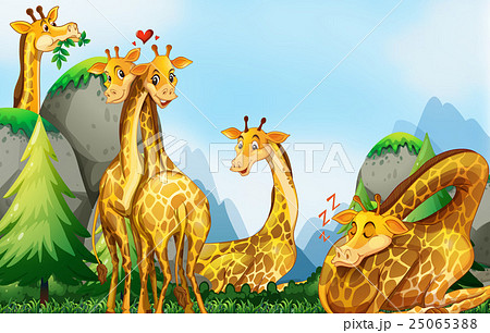 Many giraffes in the field Many giraffes in the field 25065388