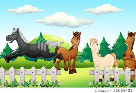 Four horses running the park 25065408