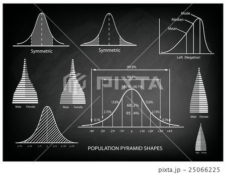 Population Pyramid Chart 25066225