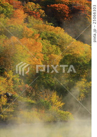 八甲田　紅葉の地獄沼 25066303