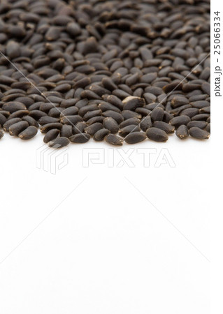 バジルシード: basil seed 25066334