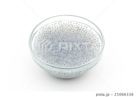 膨張したバジルシード Basil Seedの写真素材 膨張したバジルシード Basil Seedの写真素材