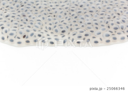 膨張したバジルシード: basil seed 25066346
