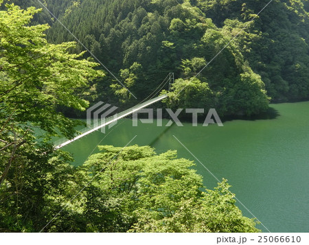 秩父　秩父湖　吊り橋 25066610