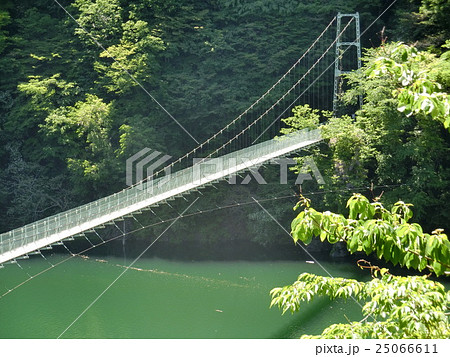 秩父 秩父湖 吊り橋の写真素材