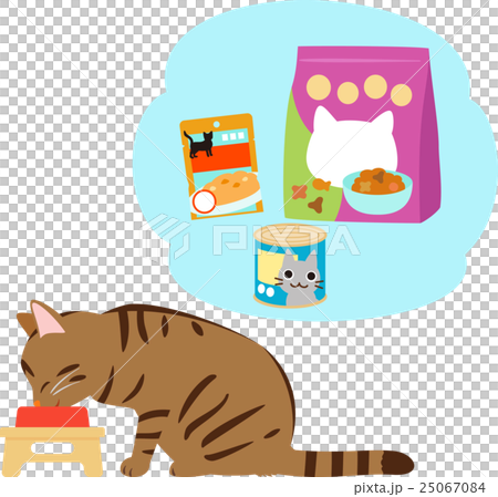 各種各樣的貓食和貓,當吃時 各種各樣的貓食和貓,當吃時 25067084