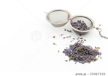 ラベンダー:Lavender ラベンダー:Lavender 25067350
