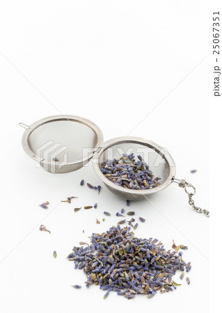 ラベンダー:Lavender 25067351