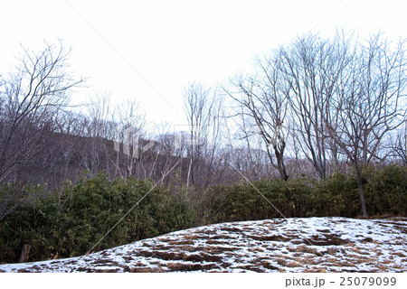 冬の日 冬 ウインター 25079099