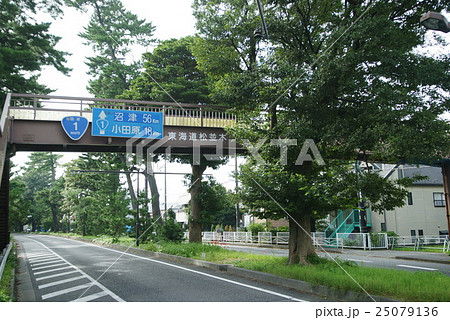 東海道の松並木 25079136