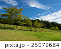 森林公園 25079684