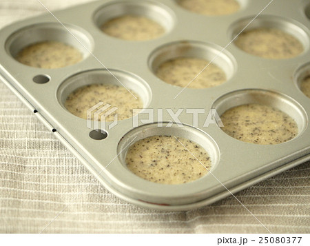 ポンポネット　紅茶生地　（横位置） 25080377