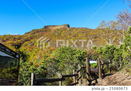 黒岳カムイ森のみちから見る黒岳 25080673