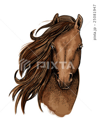 Brown mustang horse artistic portrait 25081947