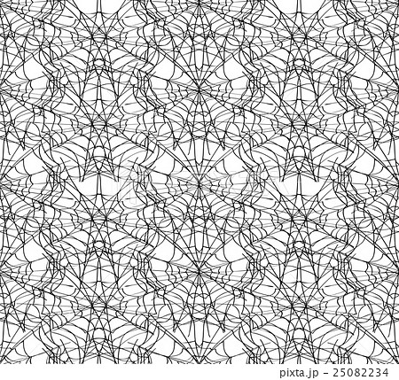 Spiderweb white seamless pattern. 25082234