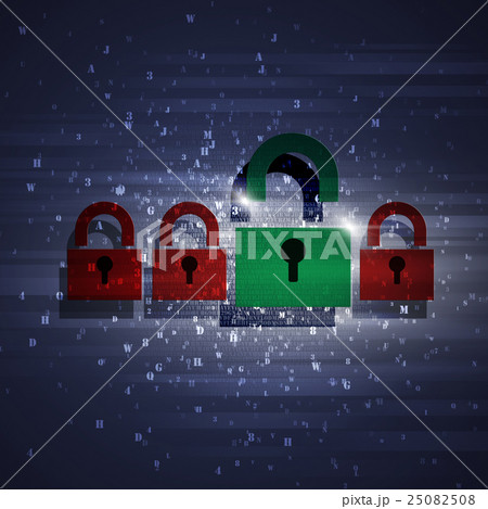 Correct Security Password 25082508