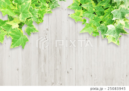 ウッド素材と植物 ウッド素材と植物 25083945
