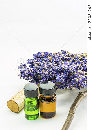 富良野　ラベンダー　イメージ 25084208