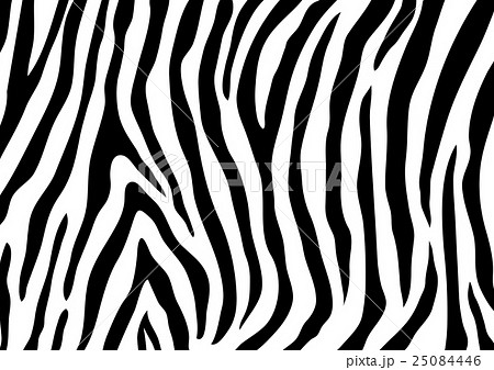 しまうま 25084446