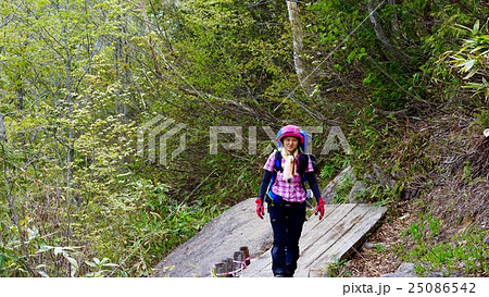三平峠見晴らし岩 三平峠見晴らし岩 25086542