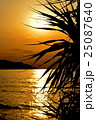 奄美大島　sunset 25087640