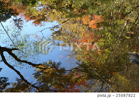 紅葉時期の古岩屋の西之川に映った紅葉 25087822