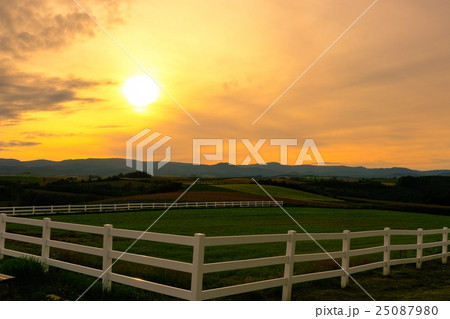 美瑛周遊 (467) 25087980