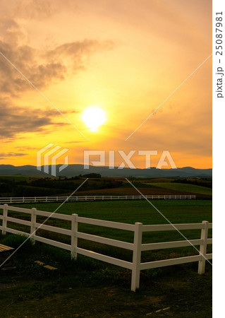 美瑛周遊 (468) 25087981