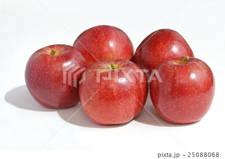 リンゴ(緋のあづま) リンゴ(緋のあづま) 25088068