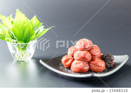 梅干し　紀州みなべの南高梅 25088310