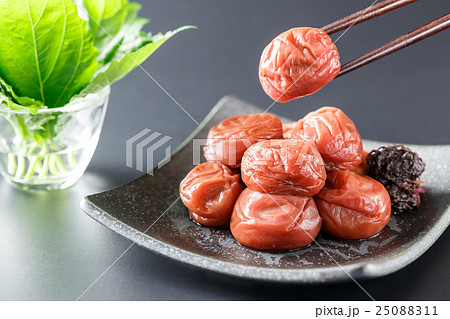 梅干し　紀州みなべの南高梅 25088311